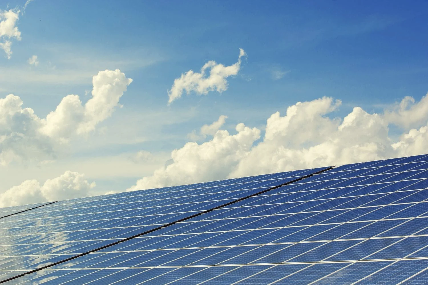 toiture d'entrepôt recouverte de panneaux solaires